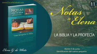 Notas de Elena | Martes 9 de junio del 2020 | Identificación del cuerno pequeño | Escuela Sabática