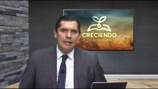 Lección 1 | La Educación en el Jardín del Edén | Escuela Sabática Creciendo en la Palabra