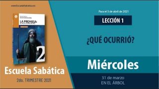Lección 1 | Miércoles 31 de marzo del 2021 | En el árbol | Escuela Sabática Adultos